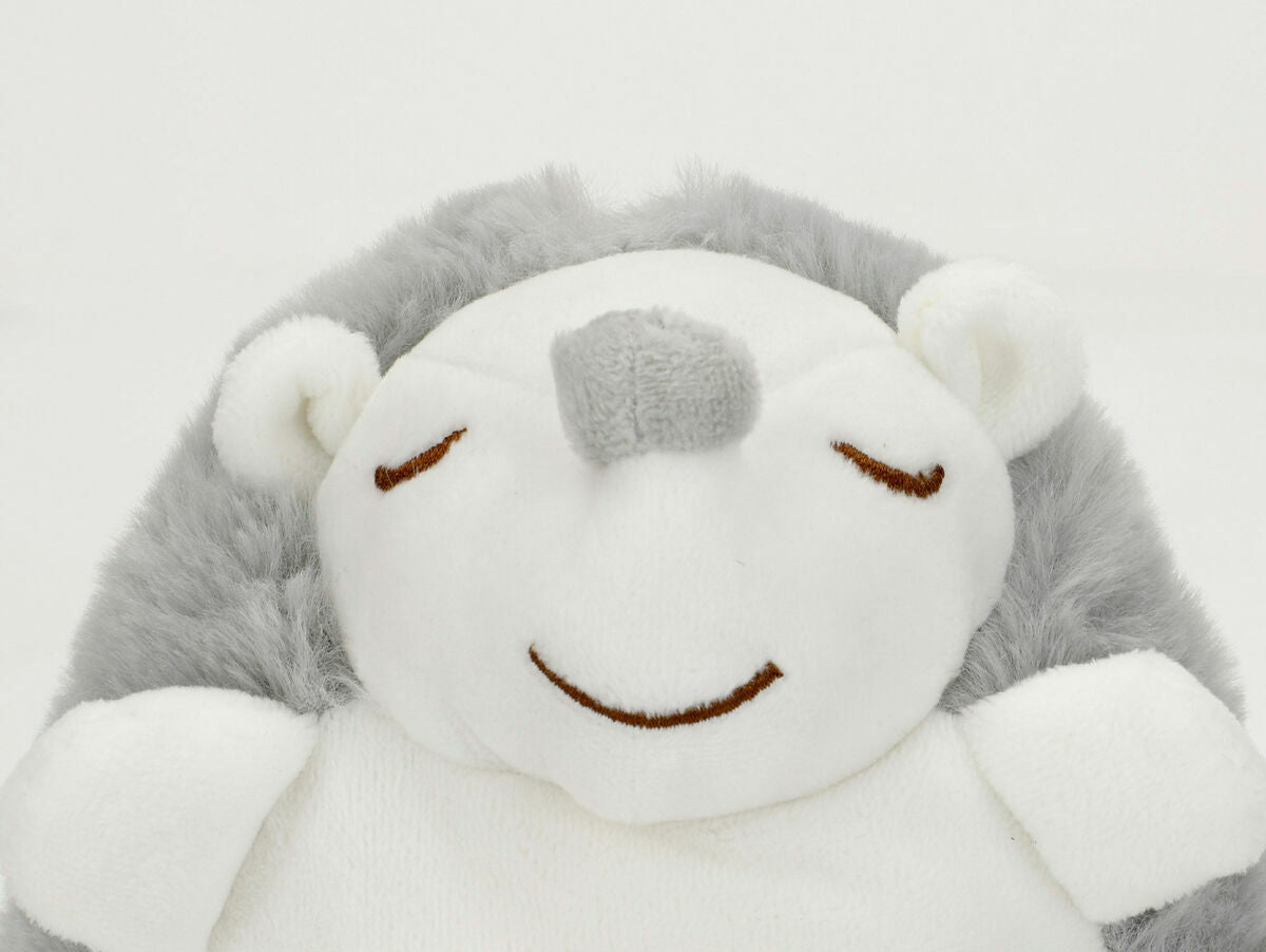 V5HDCBC091DFCCFC0617138AB5D2A98AA07R5672723P6