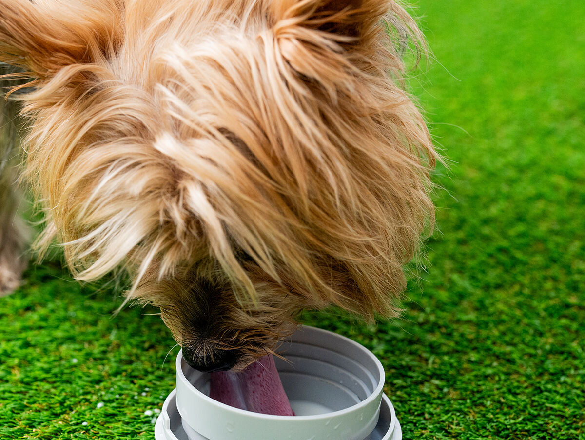 V8H428DC5DAEF0E7D718BCA4C197362E1AER5279949P7